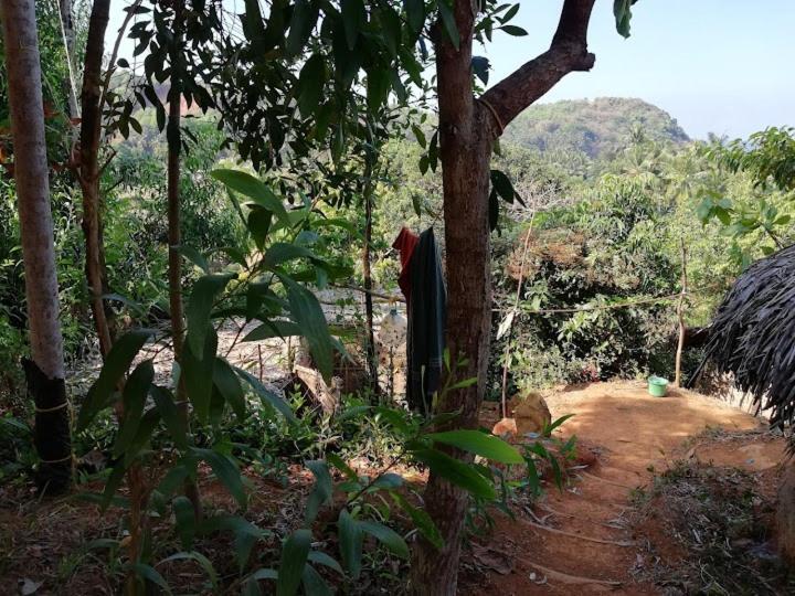 Bindhya Huts Apartment Gokarna  Exterior foto